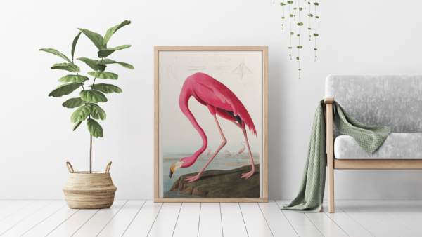 Tableau d’Oiseau Flamant – Charme et Couleurs Vives – Image 2