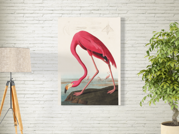Tableau d’Oiseau Flamant – Charme et Couleurs Vives – Image 3